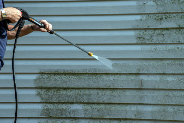 Best Driveway Pressure Washing  in Westland, MI